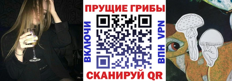Псилоцибиновые грибы GOLDEN TEACHER Кострома
