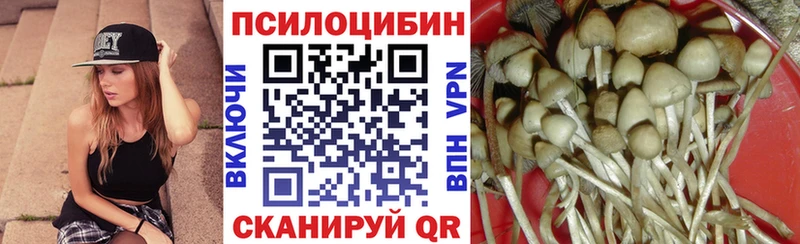 где продают   Кострома  hydra онион  Галлюциногенные грибы Psilocybe 